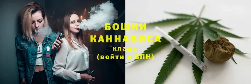 Бошки марихуана THC 21%  Алзамай 